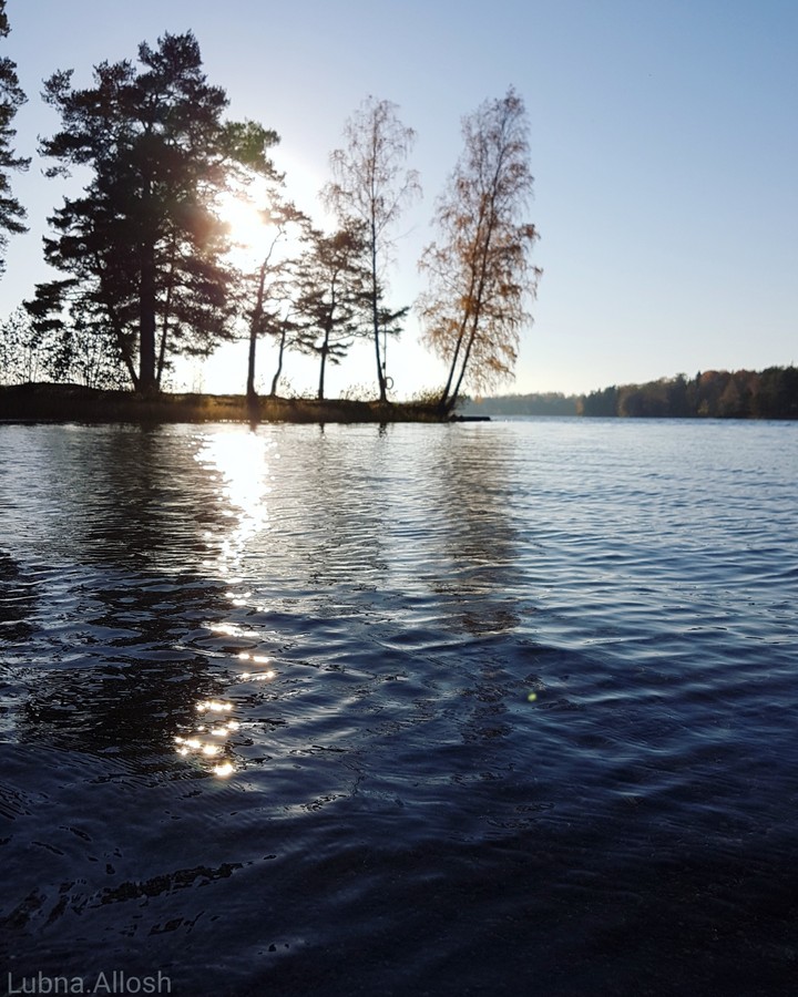 Landscape