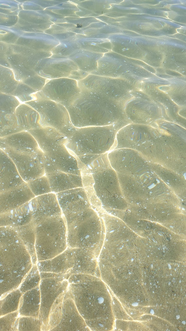 sea