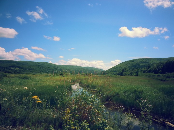 Valley Of Dreams