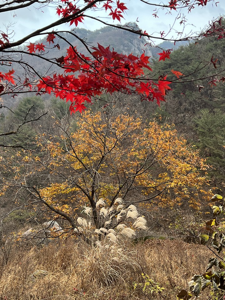 가을풍경
