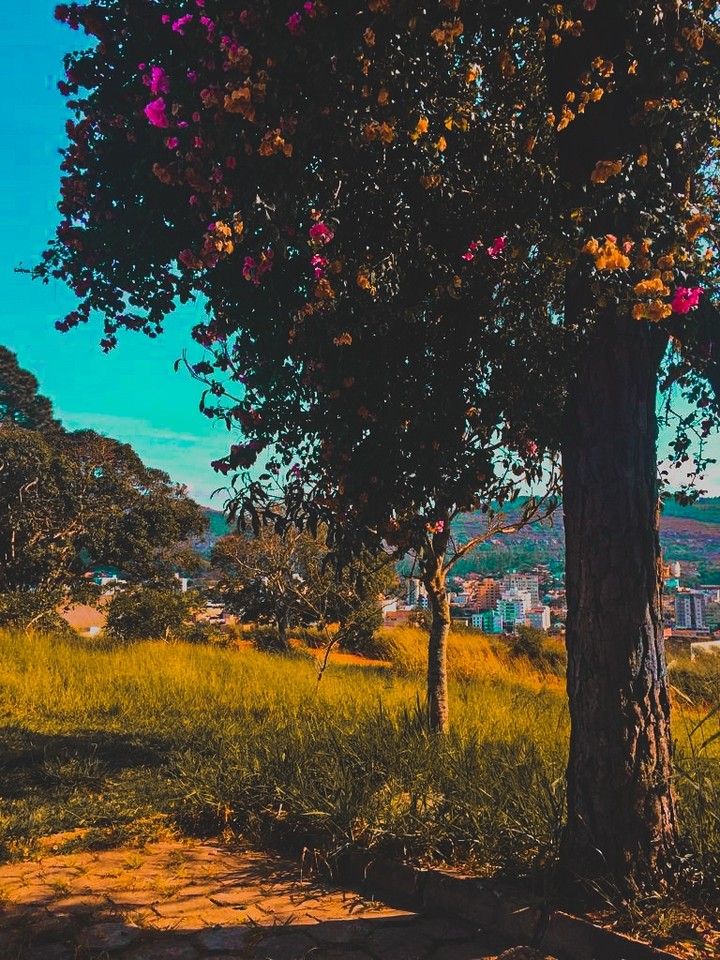 tenha um dia colorido@a_venuzluc
