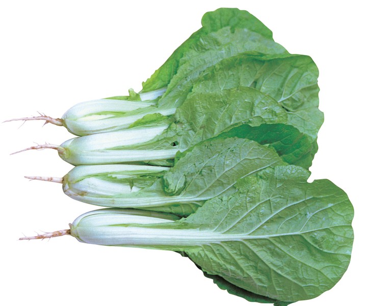 음식