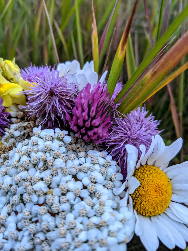 Wild flower bouquet