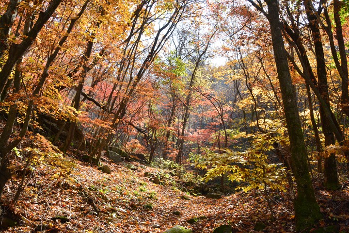 산이미지