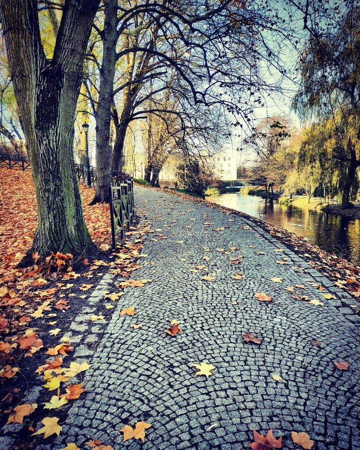 autumn