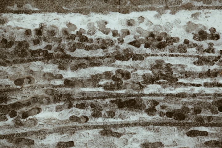 foot print