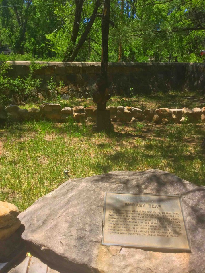 Grave of Smokey the Bear.