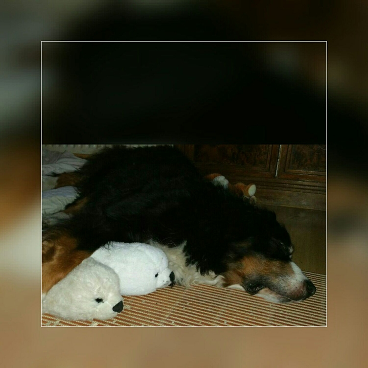 Murphy ❤