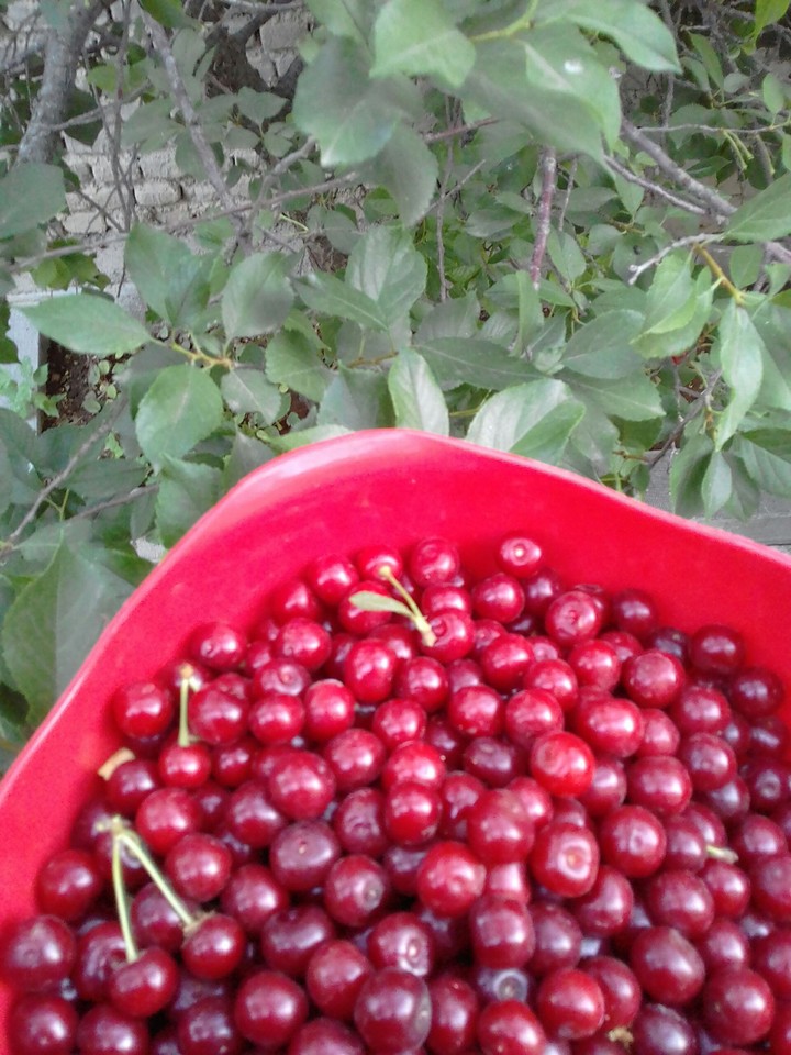 yummmmy!!