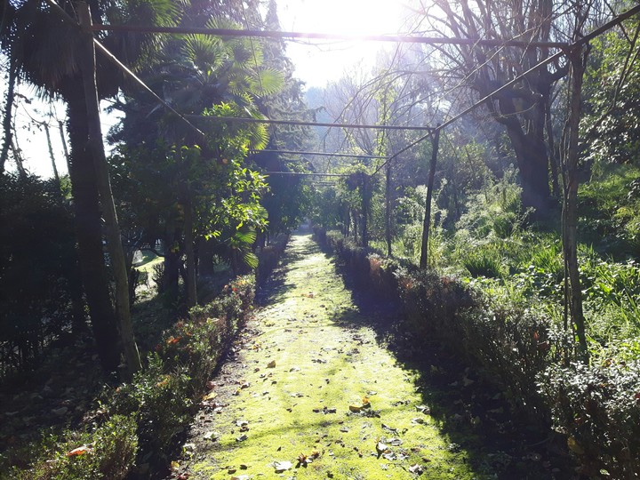 secret garden