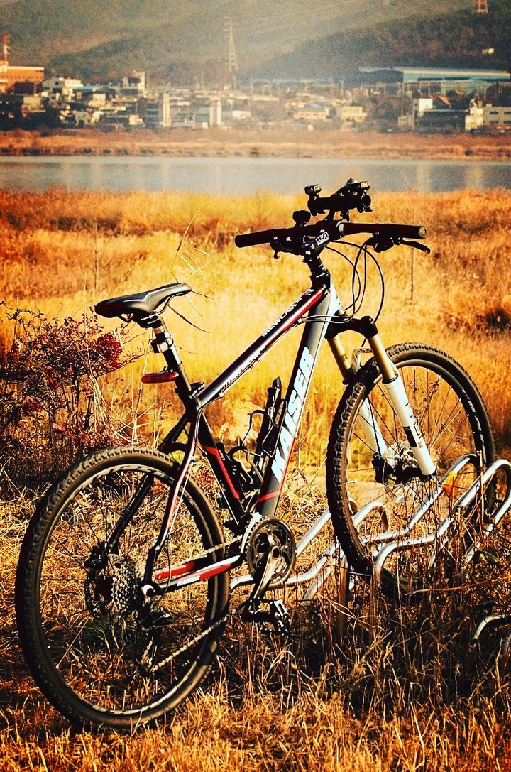 My MTB