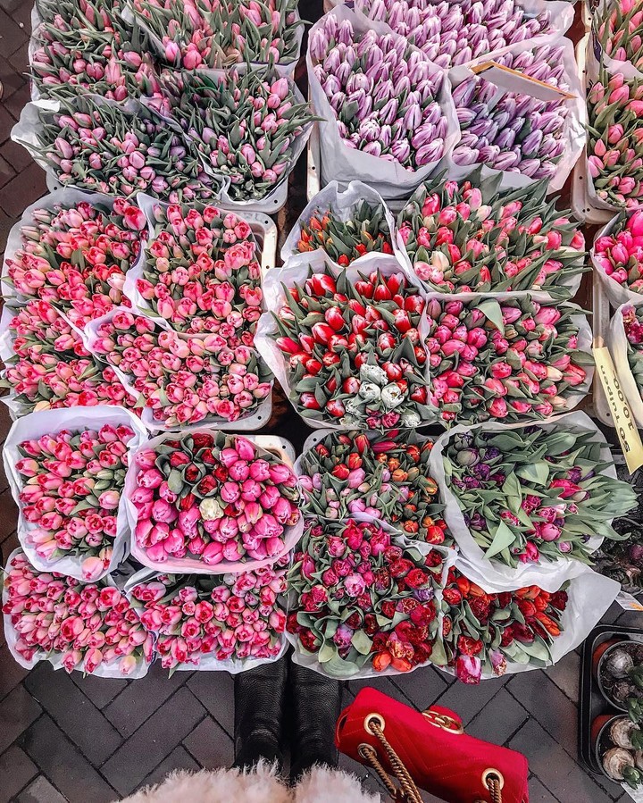 -flower bouquets