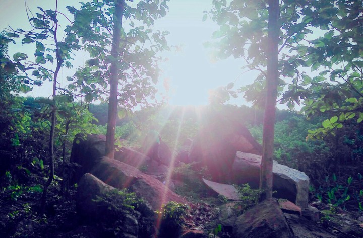 sunset @hillside forest