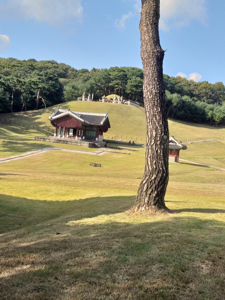 동구릉