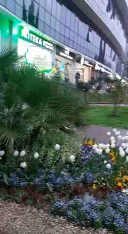NATURE