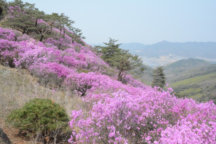 풍경이미지