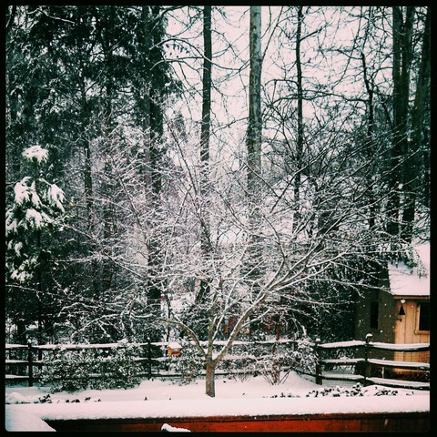 Winter