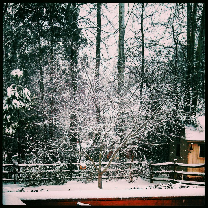 Winter