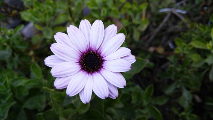 La belleza de la naturaleza!
