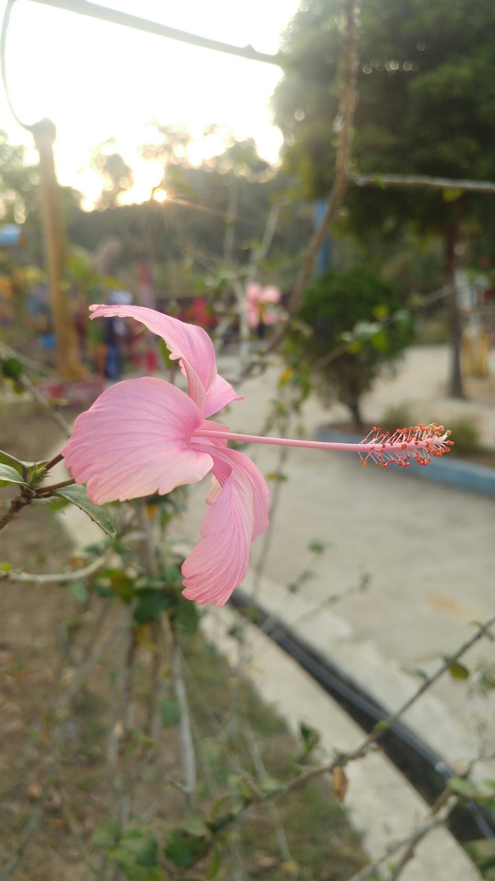Mobile photography