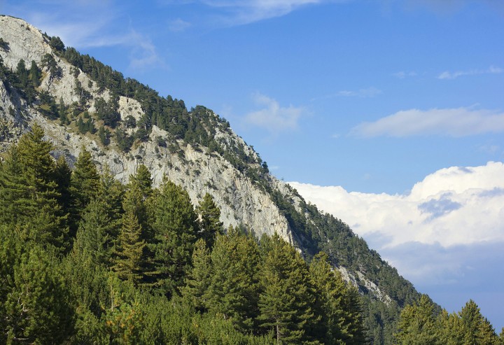 Pirin
