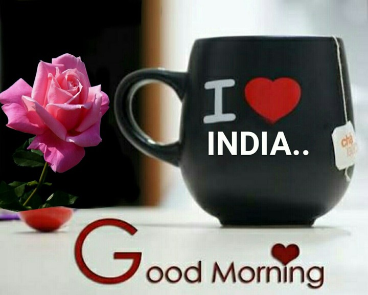 good morning