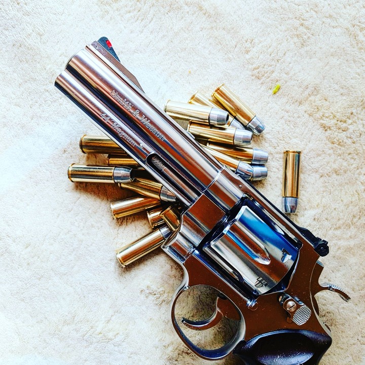 Gun