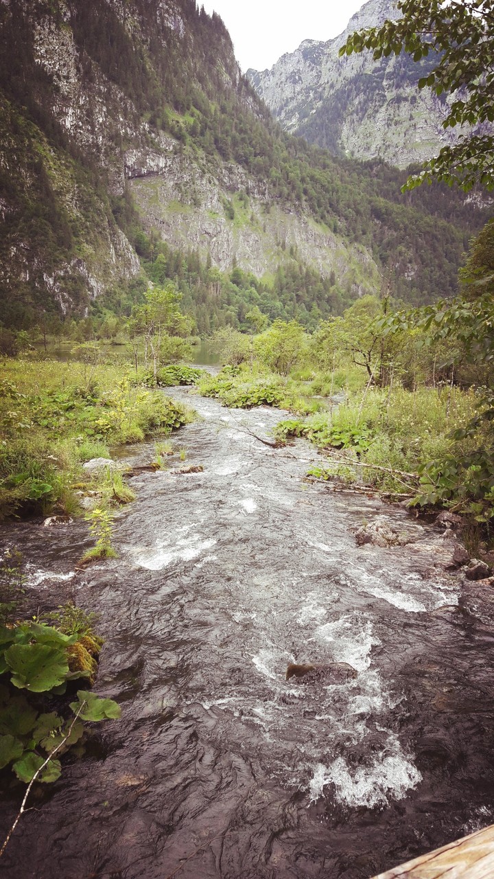 Bach am Königssee