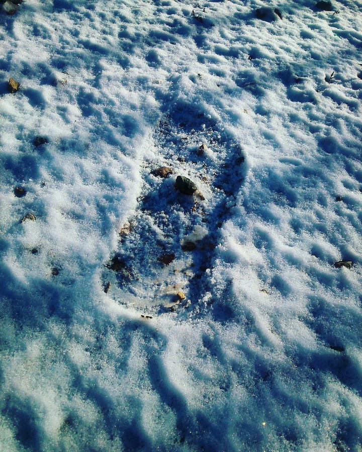 My Love Is Like Footsteps In The Snow ,Baby...