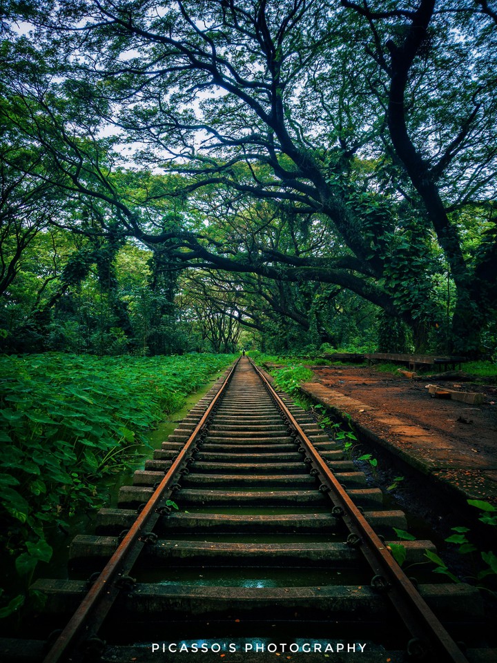 A Never Ending Track