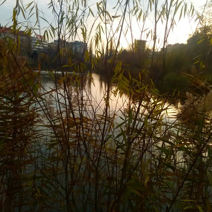 sunset :3