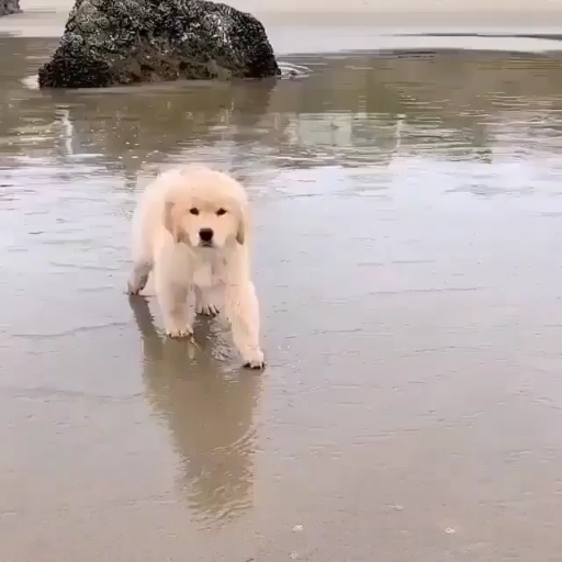 ?