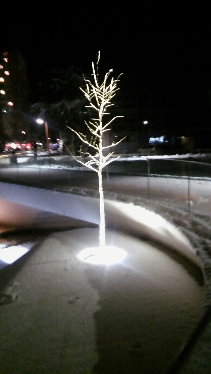 tree
