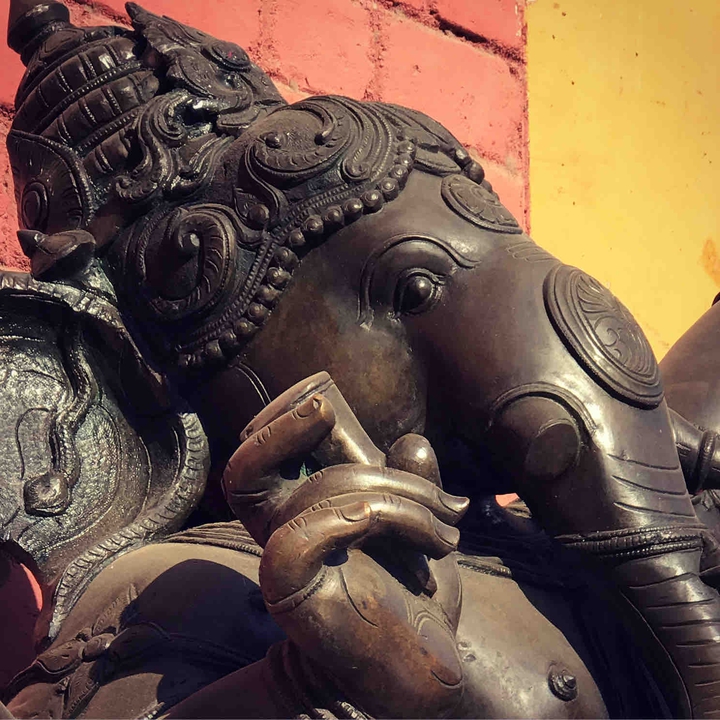 The ganesha