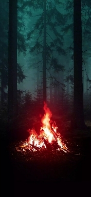 fir