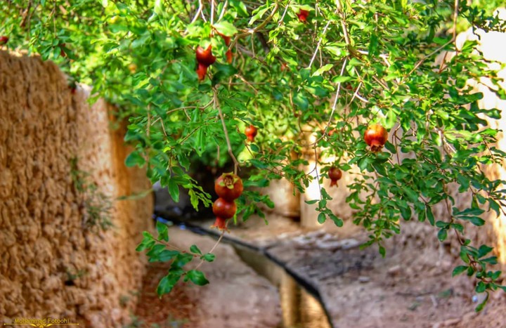 aghda.yazd.iran