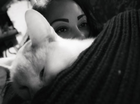 Cat Love