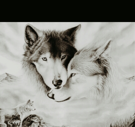 wolfs
