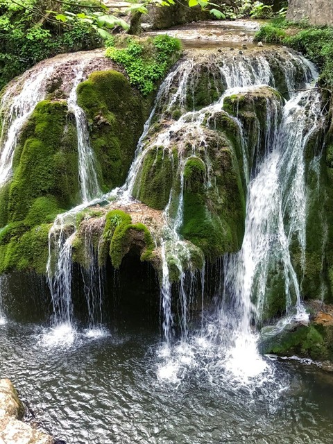 nature