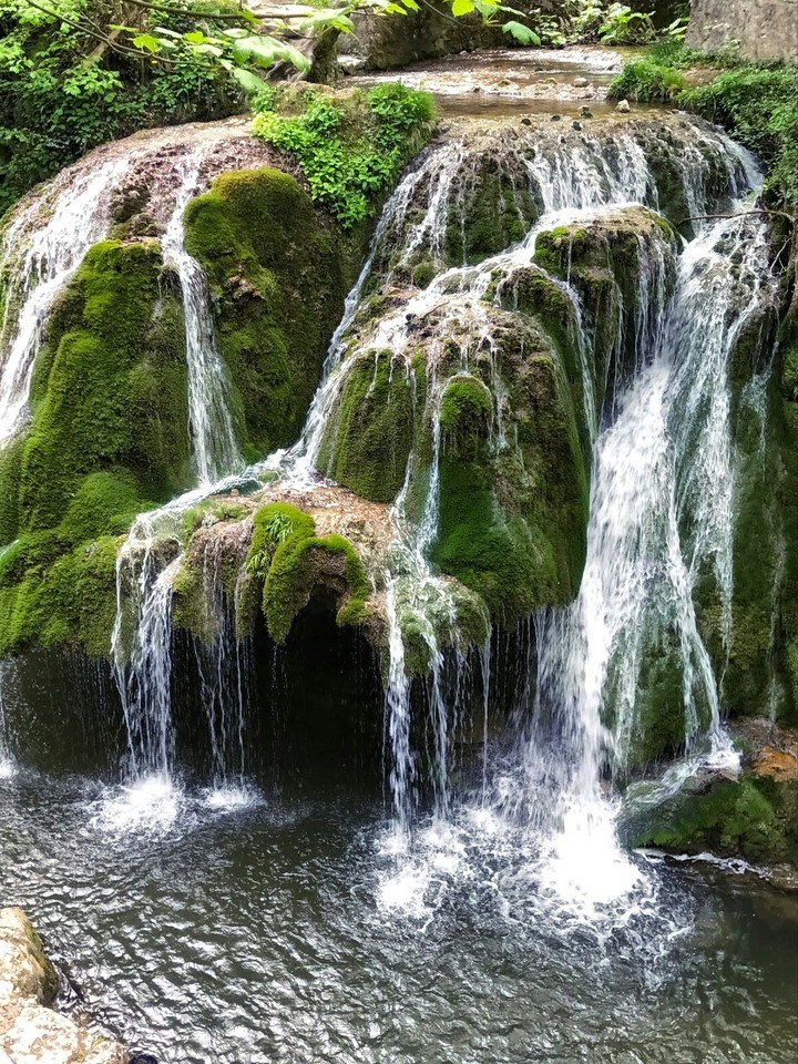 nature