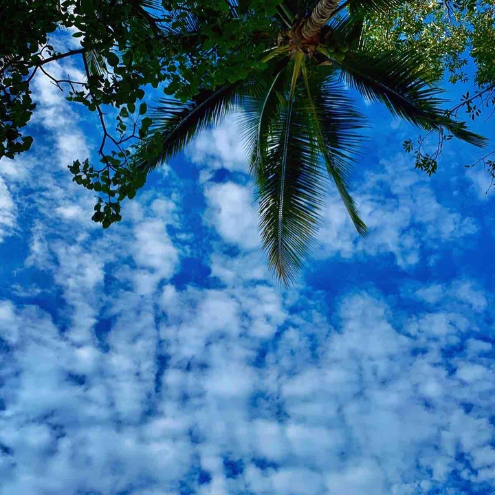 sky