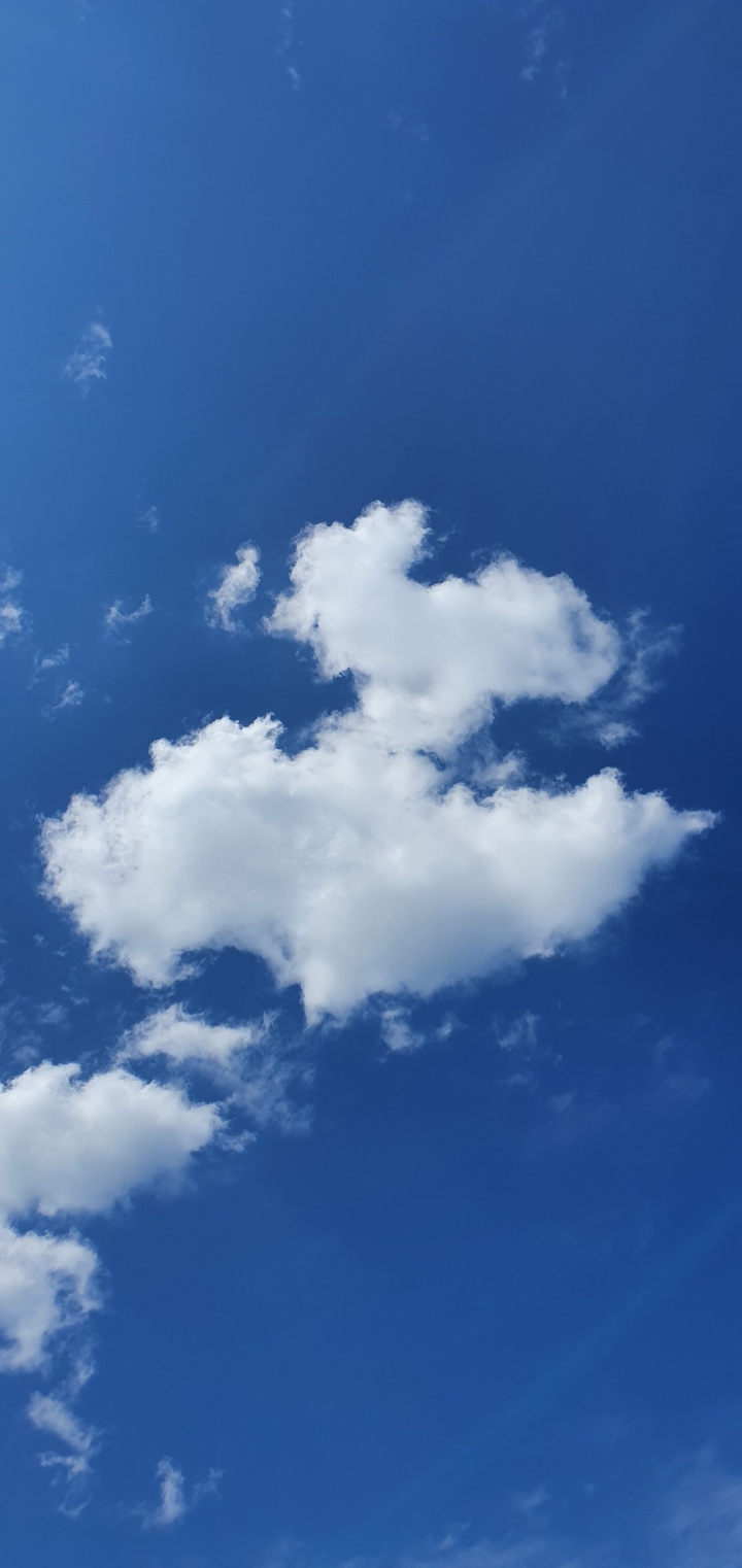 Puppy-like cloud