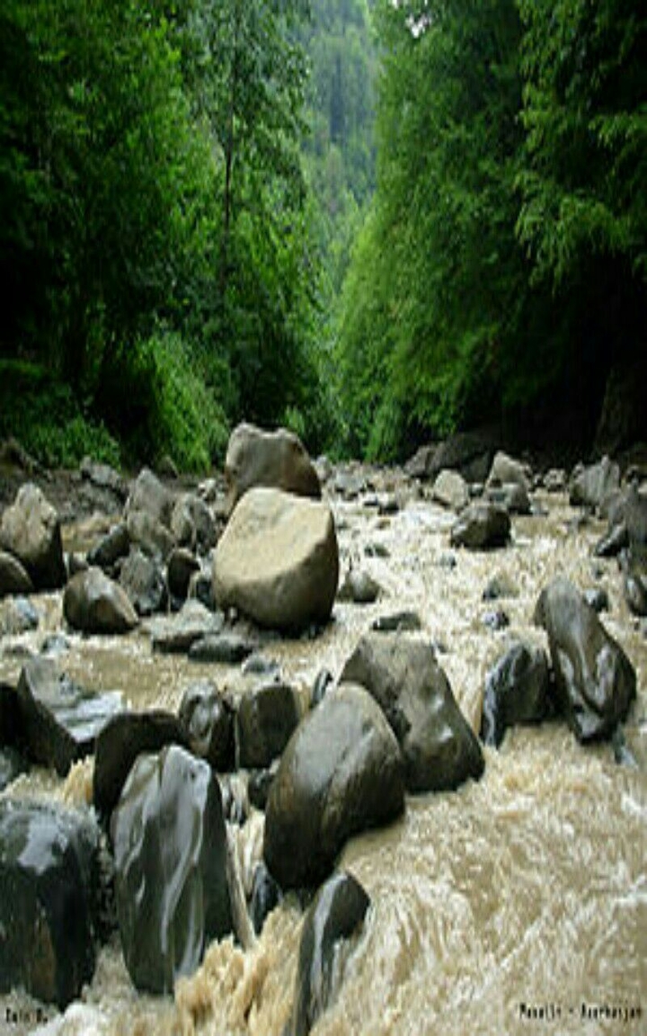 Masalli