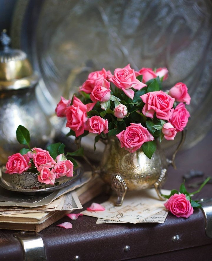 beautiful roses...