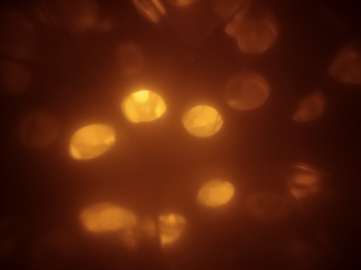golden glitter