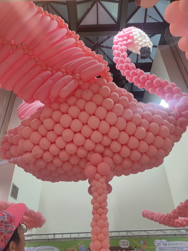 Flamingo