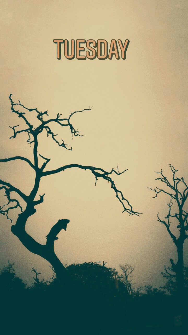 click