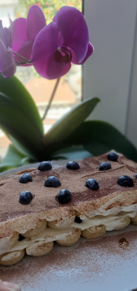 hình nền recipe, flowerpot
