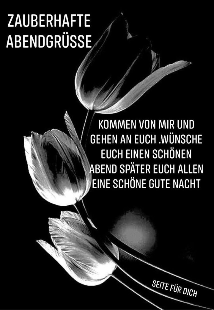 Schön