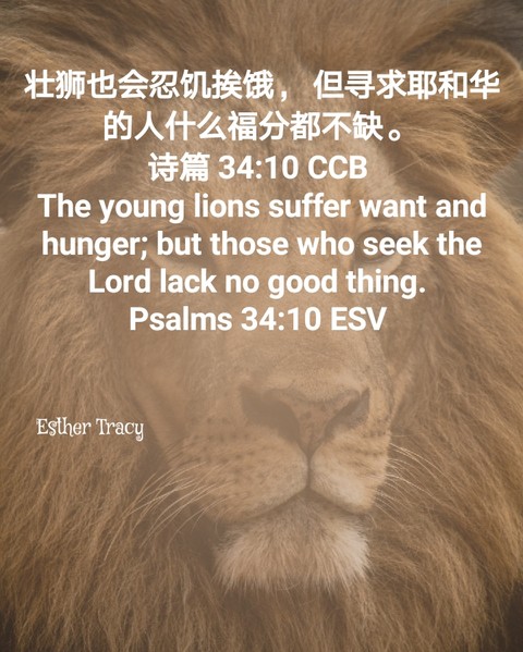 seek the Lord lack no good thing